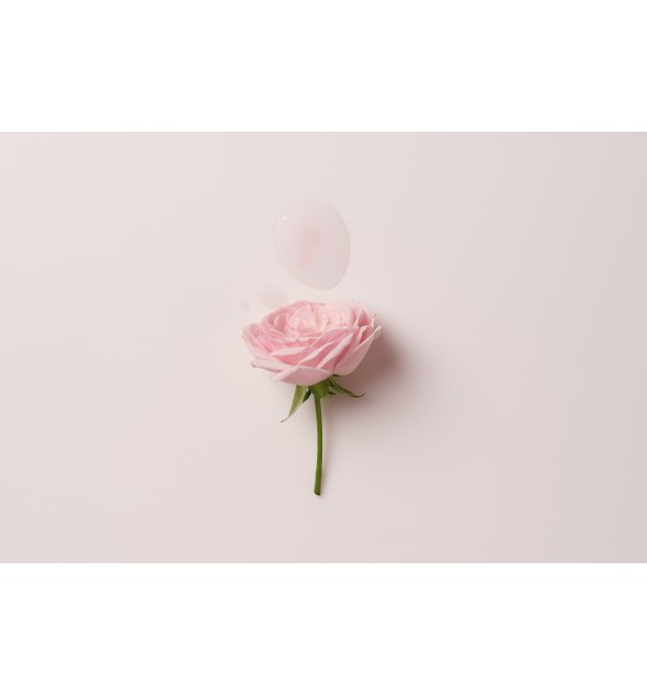 Meglica Falling into the rose SIORIS